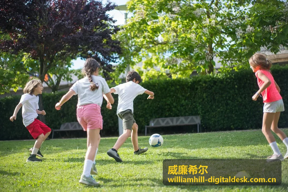 威廉希尔智能桌面方案之智能搜索模块
